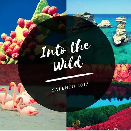 Nocleg ze śniadaniem Zo. Ne. Baroque