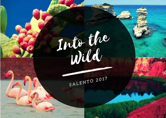 Bed & Breakfast Zo. Ne. Baroque